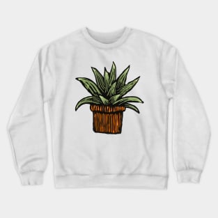 Aloe Crewneck Sweatshirt